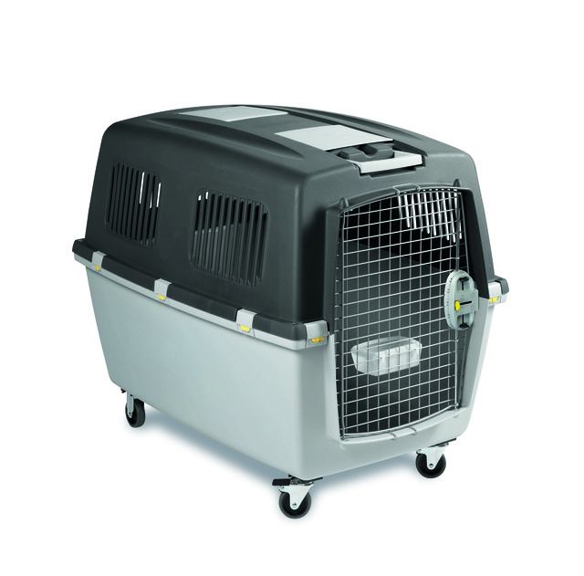 Turvavarustus ja reisimine