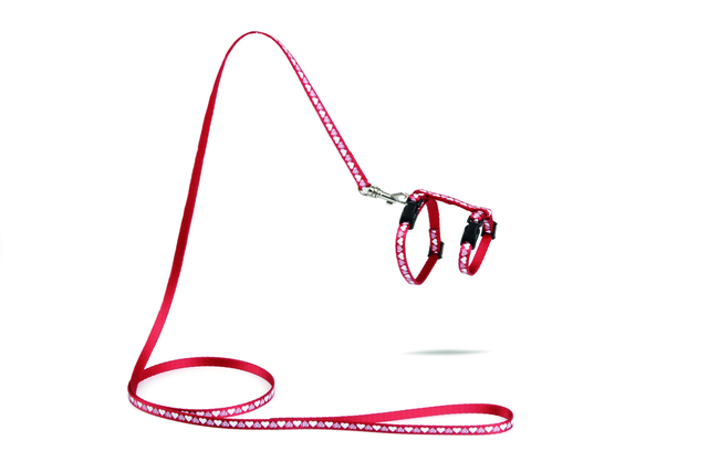 Rihmad, traksid, aksessuaarid