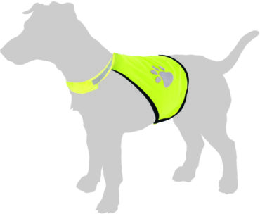 Belgian Shepherd Dog puppy, 5 months old, portrait against white background