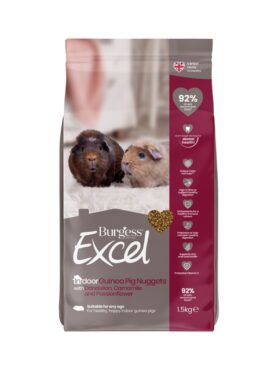 xr:d:DAF59n5f0wE:4,j:7715081734407810905,t:24011514