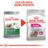 3182550894029-03