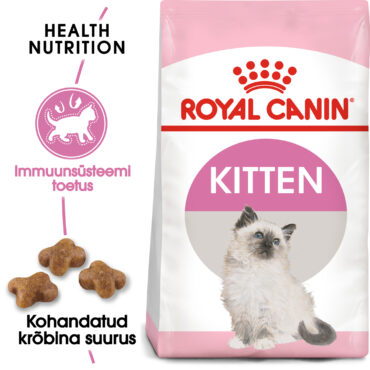 RC-FHN-Kitten-FHN KITTEN_000_ESTONIA-ESTONIAN