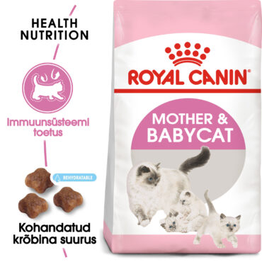 RC-FHN-M&B-FHN KITTEN_001_ESTONIA-ESTONIAN