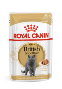 cat_FBN_BRITISH_SHORTHAIR_WET