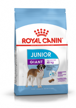 dog_PUPPY_JUNIOR_GIANT