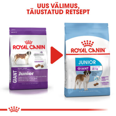 RC-SHN-PuppyGiantJunior-CV8_013_ESTONIA-ESTONIAN