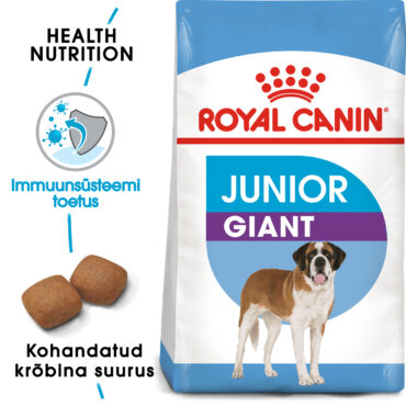 RC-SHN-PuppyGiantJunior-SHN PUPPY_010_ESTONIA-ESTONIAN