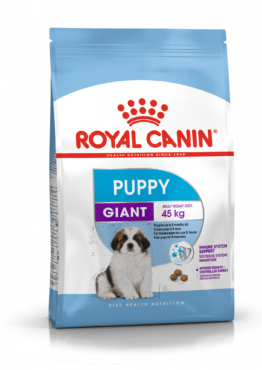 dog_PUPPY_GIANT