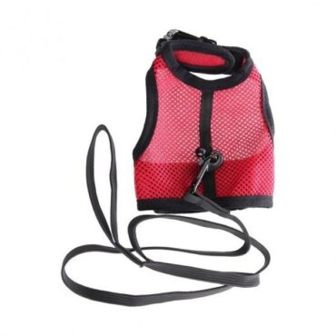 198538-3