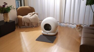 Dr.Stern CB001 Litter Box 12