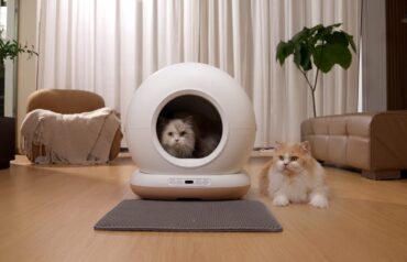 Dr.Stern CB001 Litter Box 3